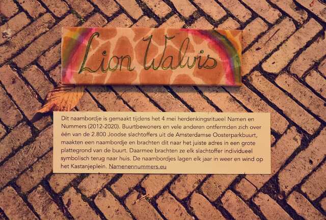 Walvis_Lion__V_92_II.JPG