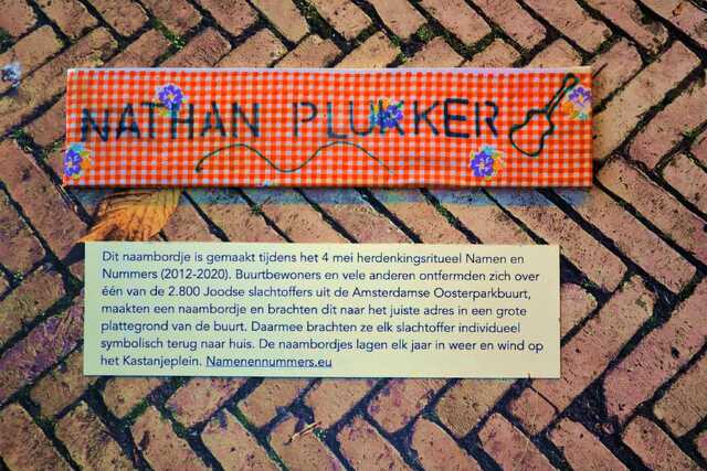Plukker_Nathan__V_345_II.JPG