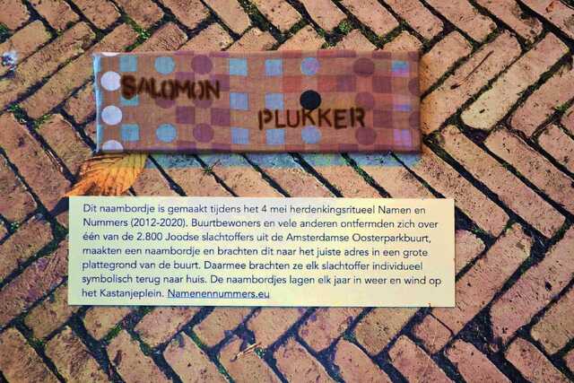 Plukker_Salomon__V_345_II.JPG
