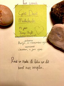 wg_V3b_ZwijsenCollege_GerdDavidMichalewits_2020.jpg