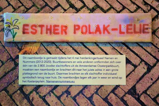 Polak_Lelie_Esther__V_323_II.JPG