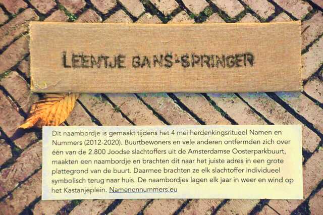 Gans_Springer_Leentje__Sw_1_I.JPG