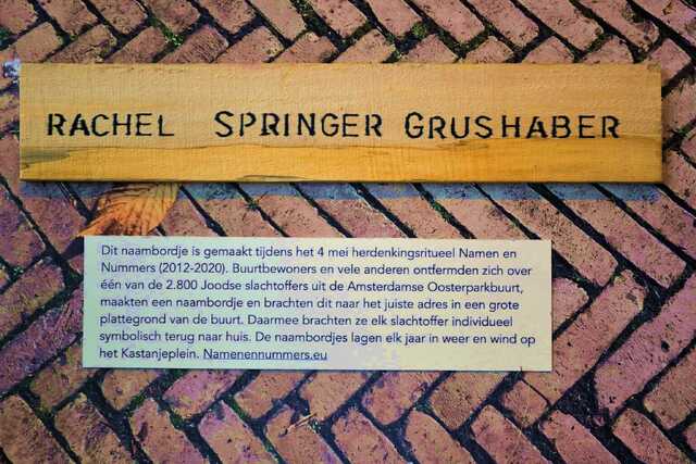 Springer_Grushaber_Rachel__V_347_huis.JPG
