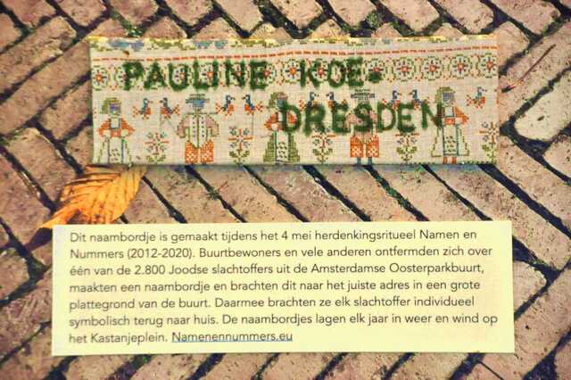 Koe_Dresden_Pauline__Sw_5_huis.JPG