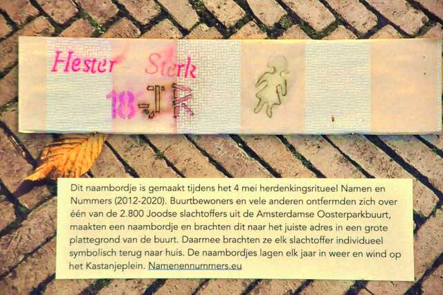Sterk_Hester__Sw_3_.JPG