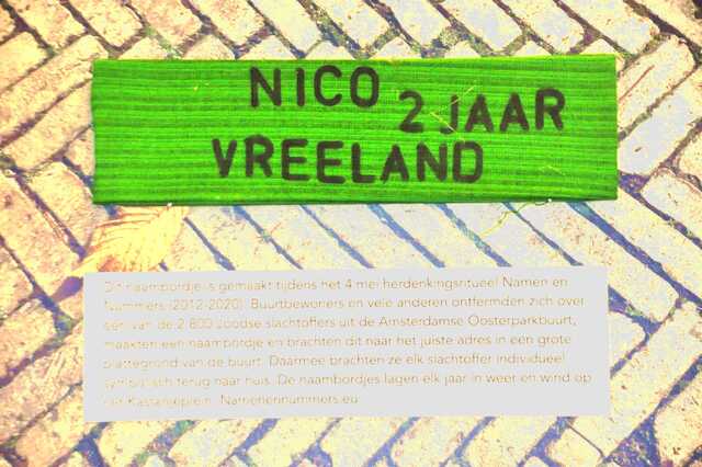 Vreeland_Nico__Sw_24_II.JPG