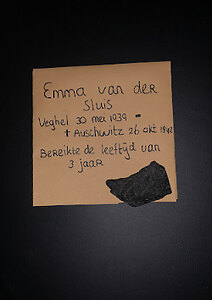 V2c_EmmavdSluis.jpg