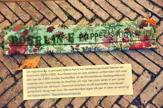 Poppelsdorf_Roseline__Iw_28_I.JPG