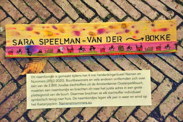 Speelman_van der Bokke_Sara__Iw_8_huis.JPG