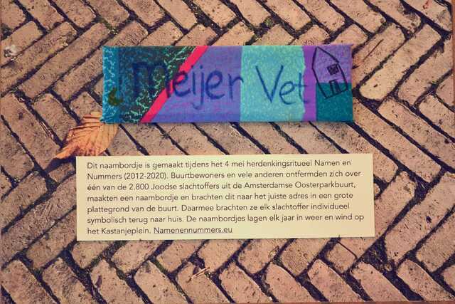Vet_Meijer__V_82_I.JPG