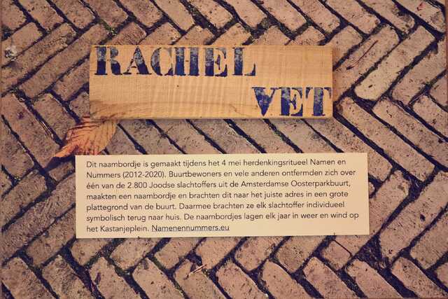 Vet_Rachel__V_82_I.JPG