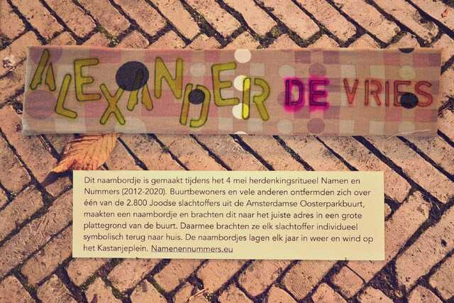 Vries_Alexander_de_V_80_I.JPG