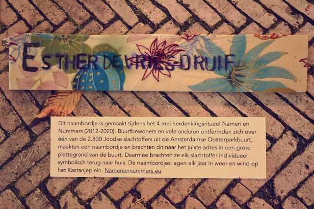 Vries_Druif_Esther_de_V_80_II.JPG