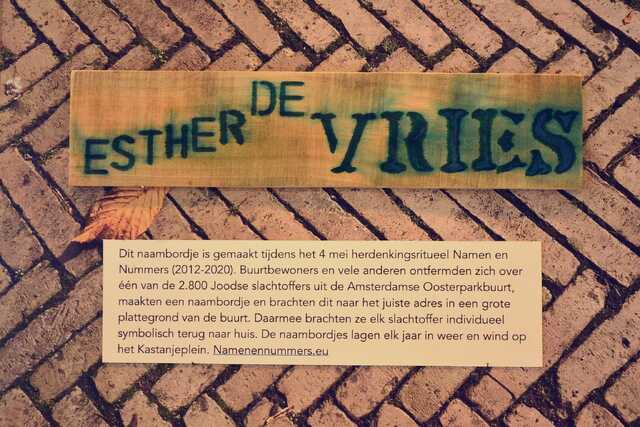 Vries_Esther_de_V_80_I.JPG