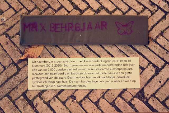 Behr_Max__V_86_II#2.JPG