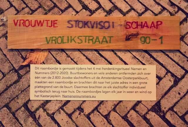 Stokvisch_Schaap_Vrouwtje__V_90_I.JPG