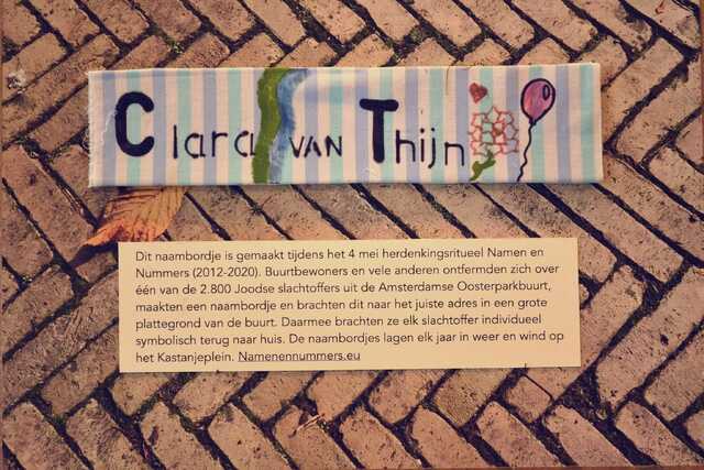 Thijn_Clara_van_V_84_III.JPG