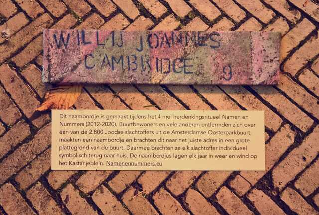 Cambridge_Willij Joannes__V_96_I.JPG