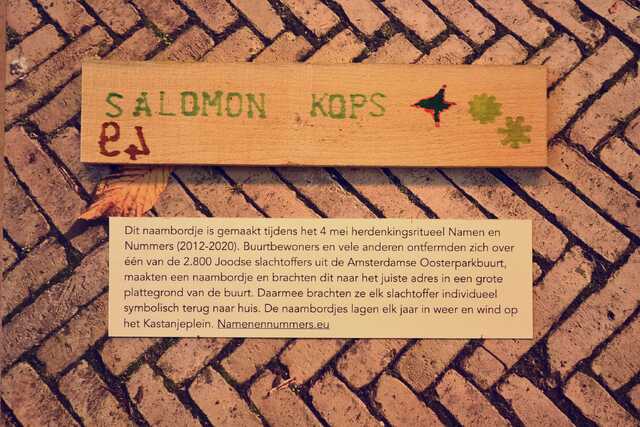 Kops_Salomon__V_94_I.JPG