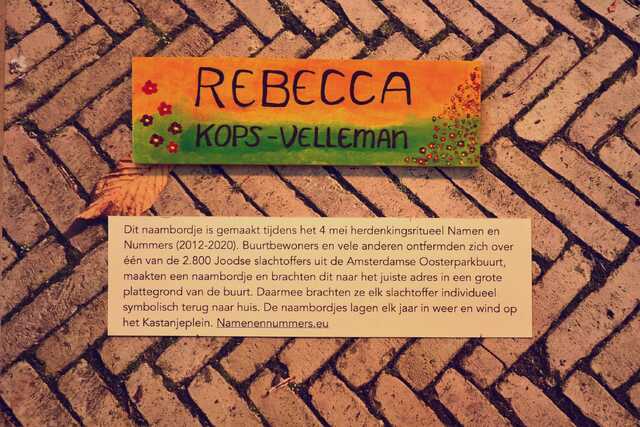 Kops_Velleman_Rebecca__V_94_I.JPG