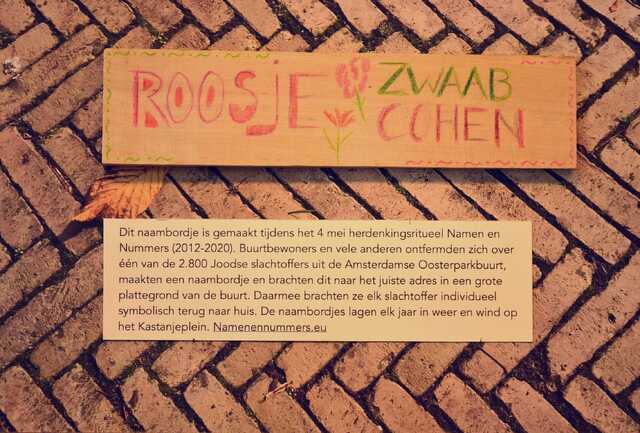 Zwaab_Cohen_Roosje__V_96_I#1.JPG