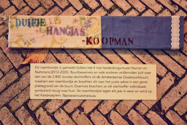 Hangjas_Koopman_Duifje__V_100_II.JPG