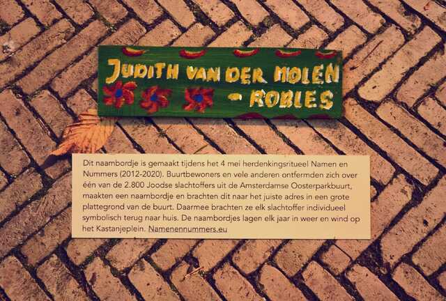 Molen_Robles_Judith_van der_V_96_II.JPG