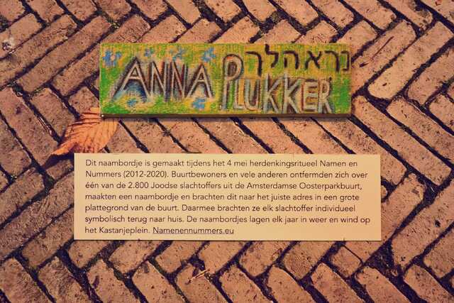 Plukker_Anna__V_98_II.JPG