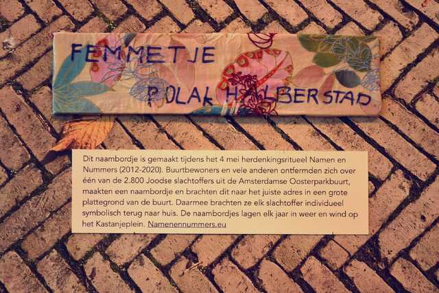 Polak_Halberstad_Femmetje__V_106_I.JPG