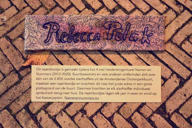 Polak_Rebecca__V_106_I.JPG