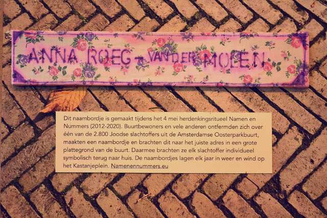 Roeg_van der Molen_Anna__V_96_II.JPG