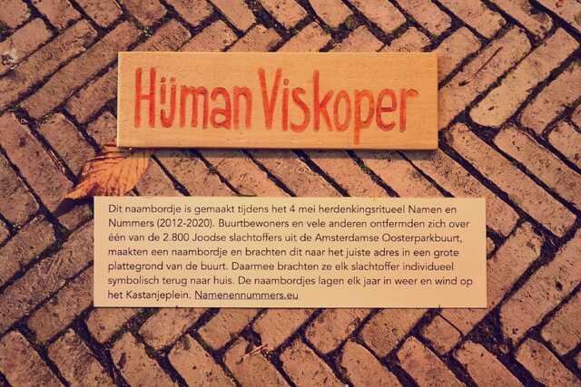 Viskoper_Hijman__V_100_I.JPG