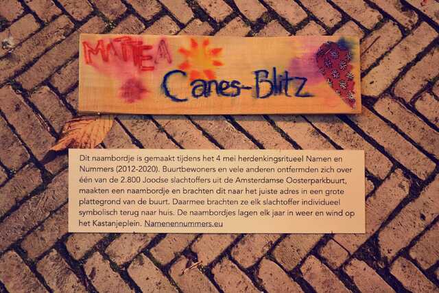 Canes_Blitz_Matthea__V_116_I.JPG