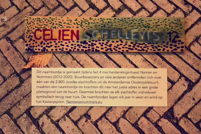 Schellevis_Celien__V_114_III.JPG