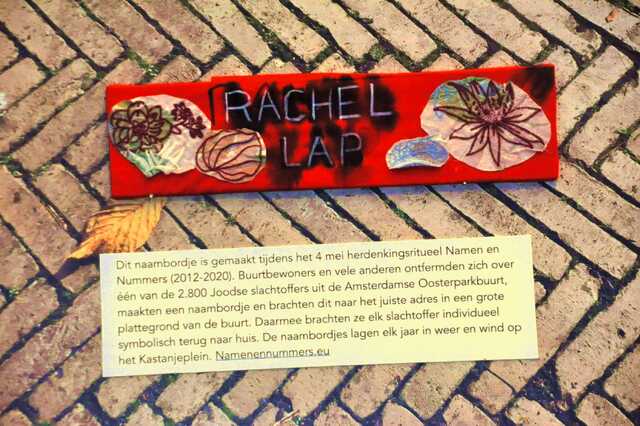 Lap_Rachel__Ops2_16_I.JPG