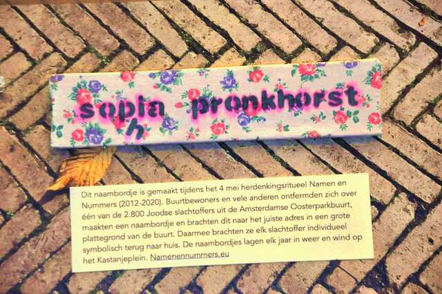 Pronkhorst_Sophia__Ops2_52_huis.JPG