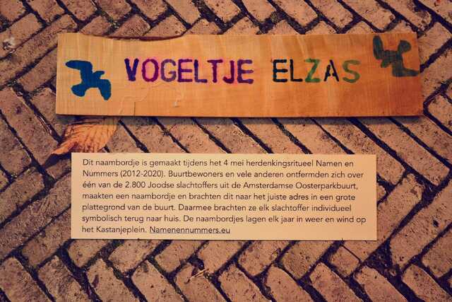 Elzas_Vogeltje__V_148_II.JPG