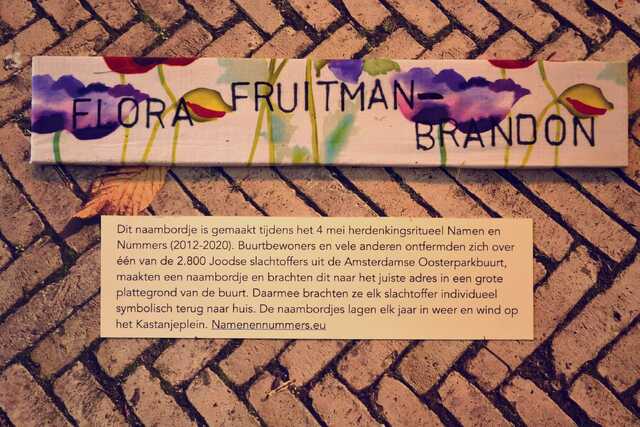 Fruitmann_Brandon_Flora__V_144_II.JPG