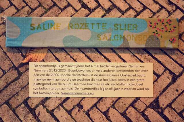Slier_Salomonson_Saline Rozette__V_128_III.JPG