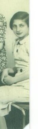 Henrietta Lam 
