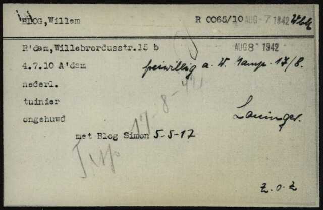 Arolson Willem Blog. 1.jpg