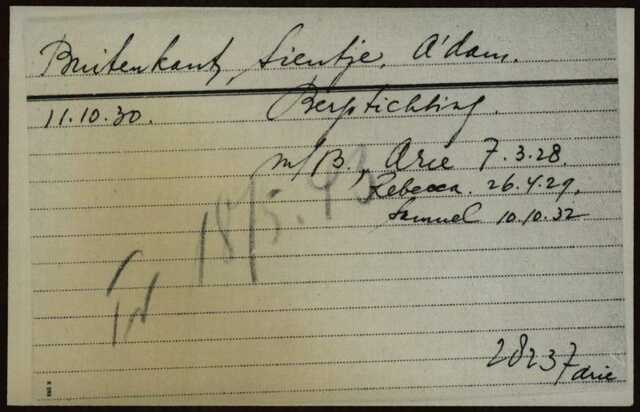 Arolson. Sientje Buitenkant.jpg