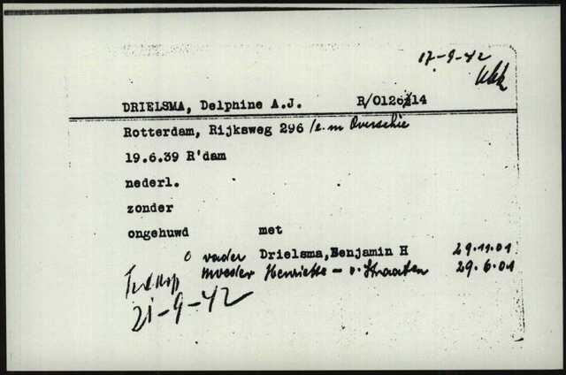 Arolson. Delphine Drielsma.jpg