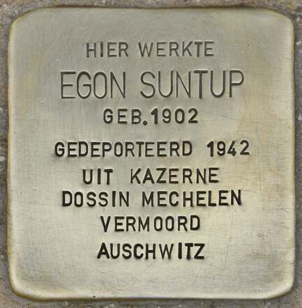 Stölperstein voor Egon 'Elchanan' Suntup, Vissegatstraat 35 in 3800 Sin-Truiden, Belgie