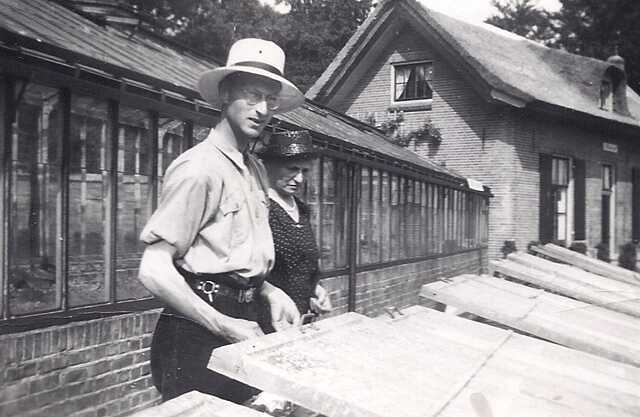 Nico Louis Herschel