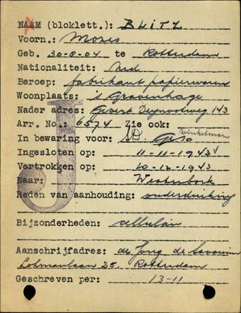 Mozes Blitz.jpg
