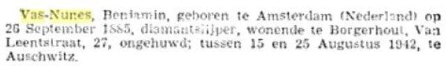 Benjamin Vas Nunes Belgisch Staatsblad.JPG