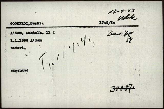 Sophia Godefroi.jpg
