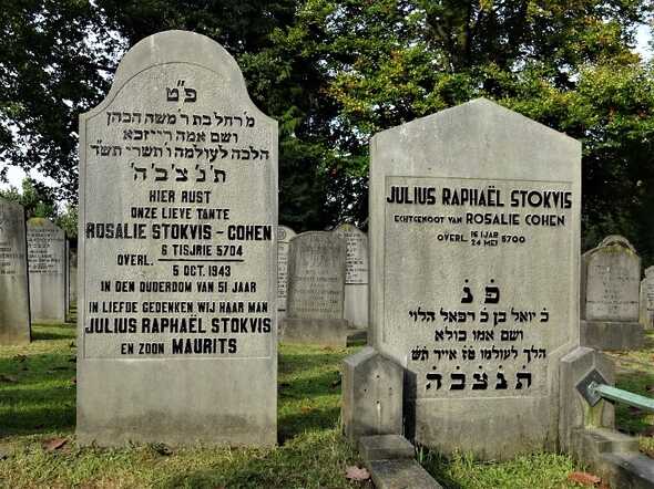 Stokvis-Cohen 02.jpg