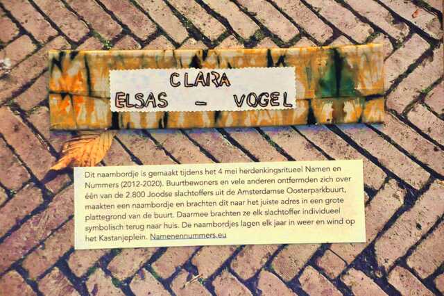 Elsas_Vogel_Clara__Ops2_5_huis.JPG